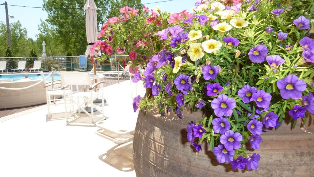 Ammos Bay Otel Ammoudia Dış mekan fotoğraf